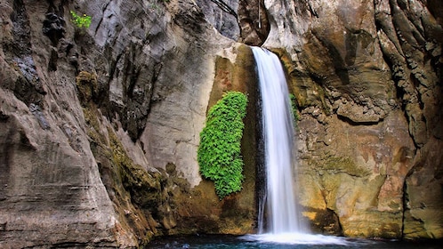 Alanya : Sapadere Canyon Cascades et Dwarfs Cave Tour