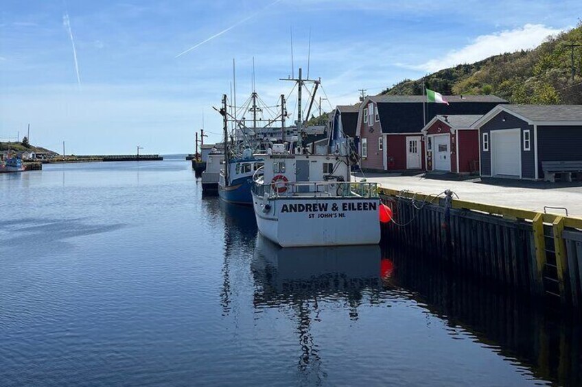 Petty Harbour