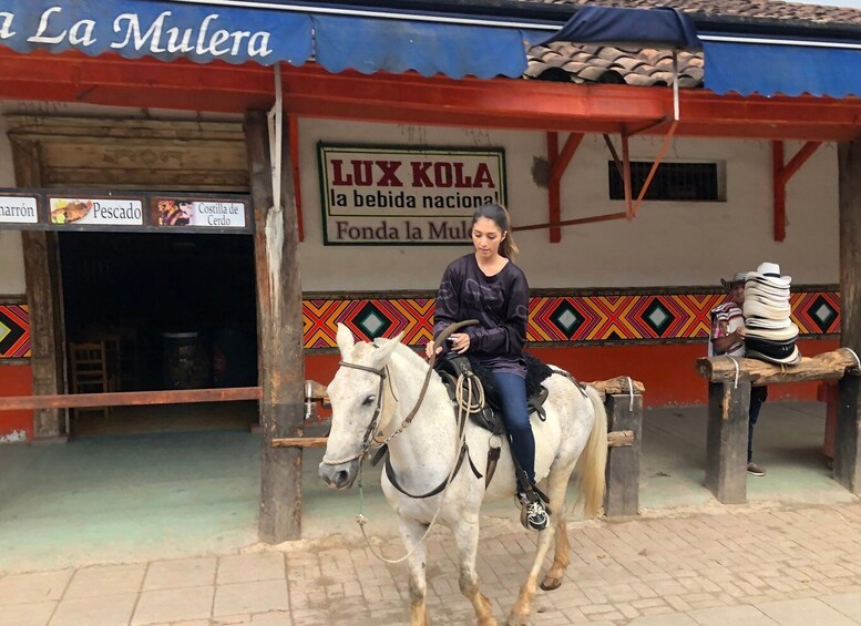 Picture 6 for Activity Medellín: Authentic Colombian Horseback Ride