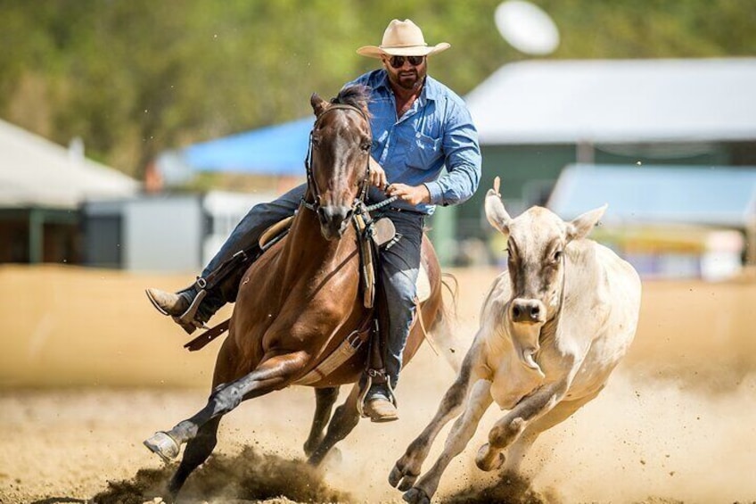  Well-behaved horses and experienced guides who truly know their stuff