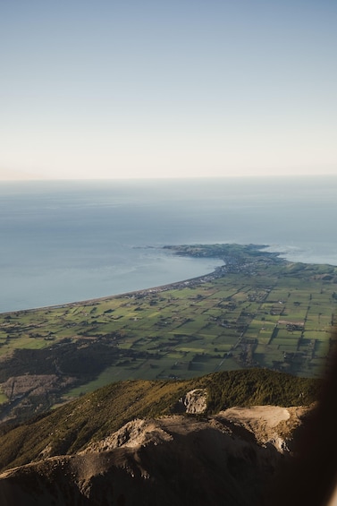 Picture 11 for Activity Kaikoura: 1-Hour Whale Watching Helicopter Tour