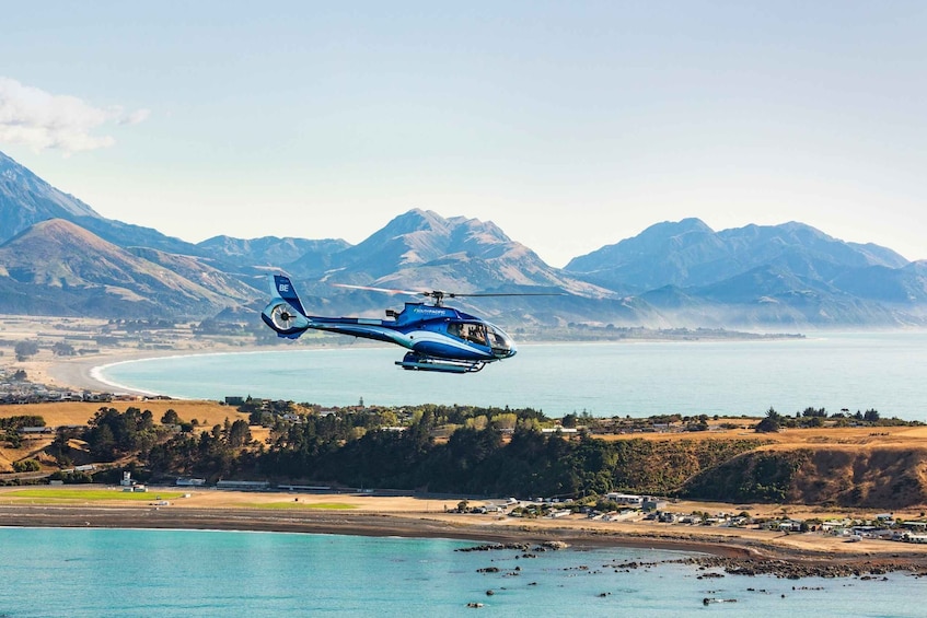 Picture 1 for Activity Kaikoura: 1-Hour Whale Watching Helicopter Tour
