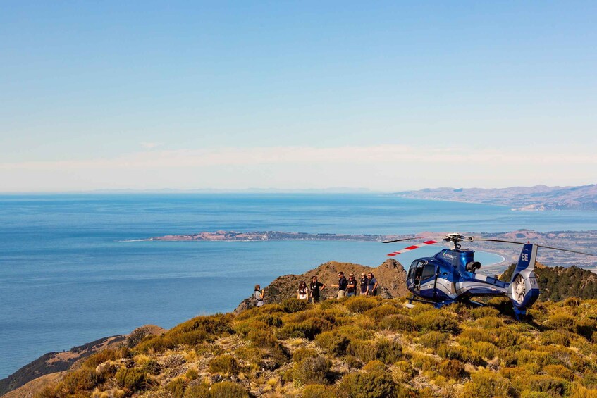 Picture 4 for Activity Kaikoura: 1-Hour Whale Watching Helicopter Tour