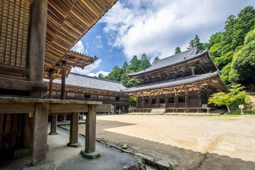 Himeji Castle, Shoshayama Temple and Arima Private Charter Car