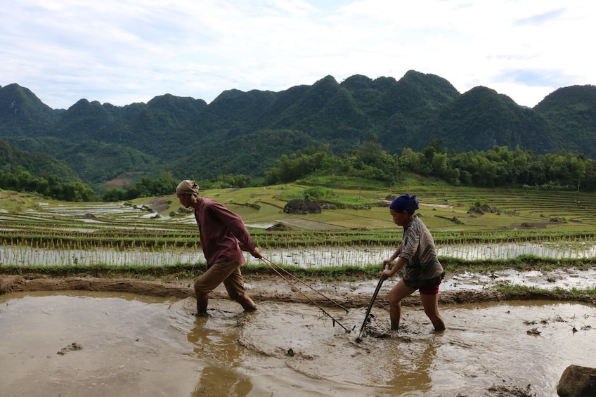 Vietnam : Sapa 3D2N With Limousine Transfer from Ha Noi