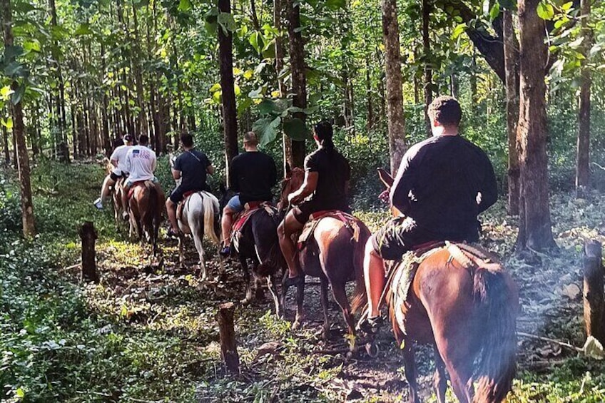 Listen to the rhythmic beat of hooves on the earth, harmonizing with the rustle of leaves and the distant call of birds. It’s a symphony composed by Mother Nature herself!