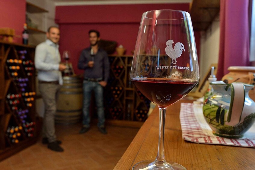 Chianti: Terre Di Perseto Winery Guided Tasting & Tour