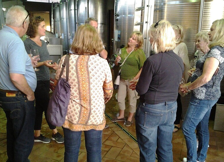 Picture 3 for Activity Chianti: Terre Di Perseto Winery Guided Tasting & Tour