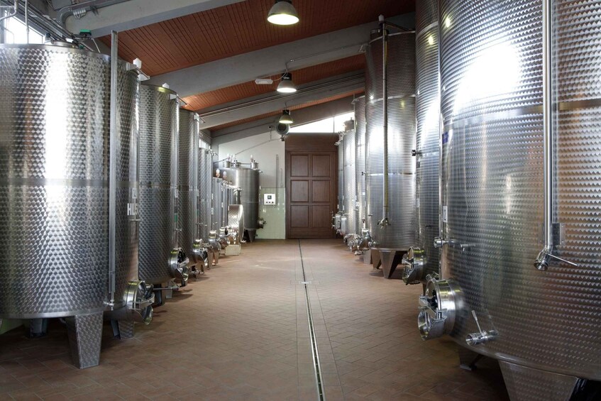 Picture 7 for Activity Chianti: Terre Di Perseto Winery Guided Tasting & Tour