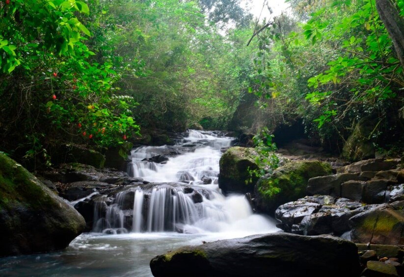 Picture 1 for Activity From Foz do Iguaçu: Secret Falls Adventure