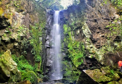 フォス ド イグアスから: 秘密の滝の冒険