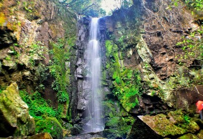 From Foz do Iguaçu: Secret Falls Adventure