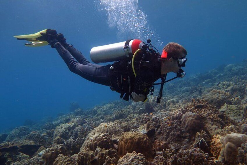 Discover Scuba diving, try diving for beginners (starts from Koh Chang)
