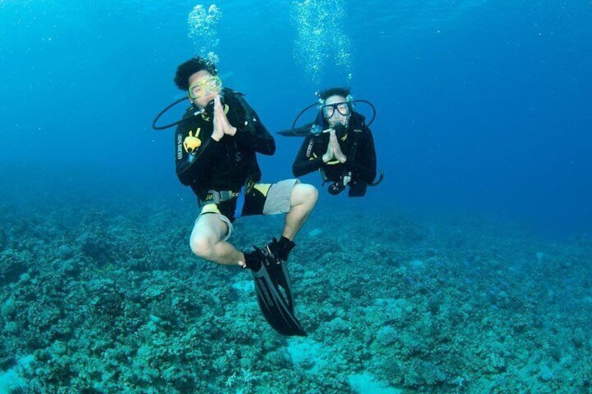 Discover Scuba diving, try diving for beginners (starts from Koh Chang)