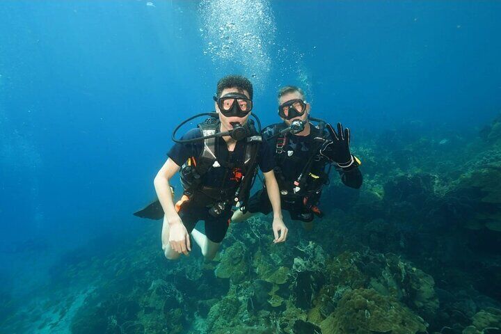 Discover scuba diving koh chang
