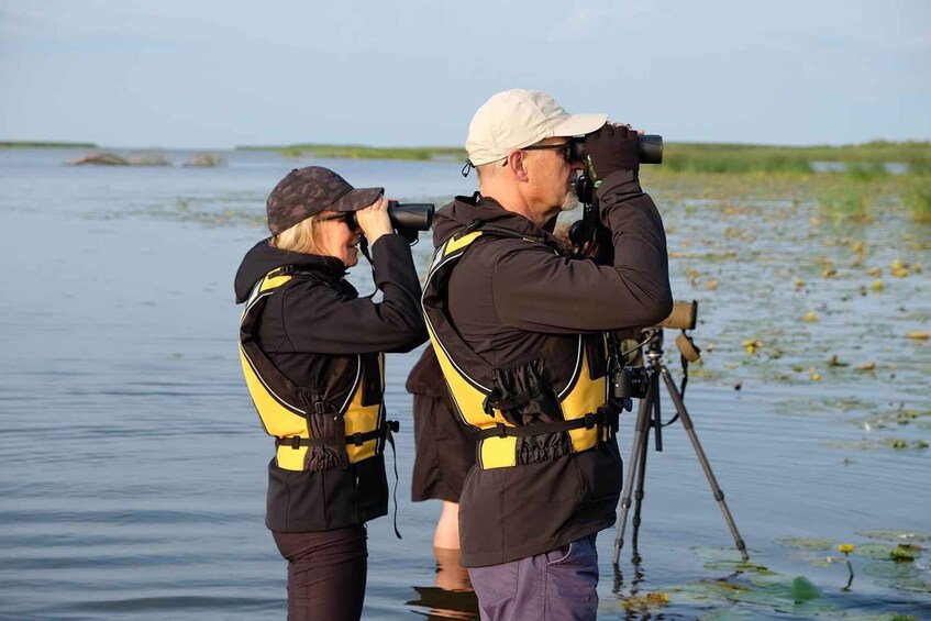 Picture 7 for Activity Guided Birdwatching Canoe Tour of Cape Vente Lithuania