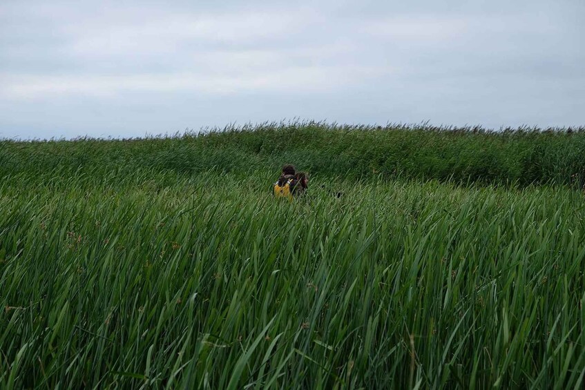 Picture 12 for Activity Guided Birdwatching Canoe Tour of Cape Vente Lithuania