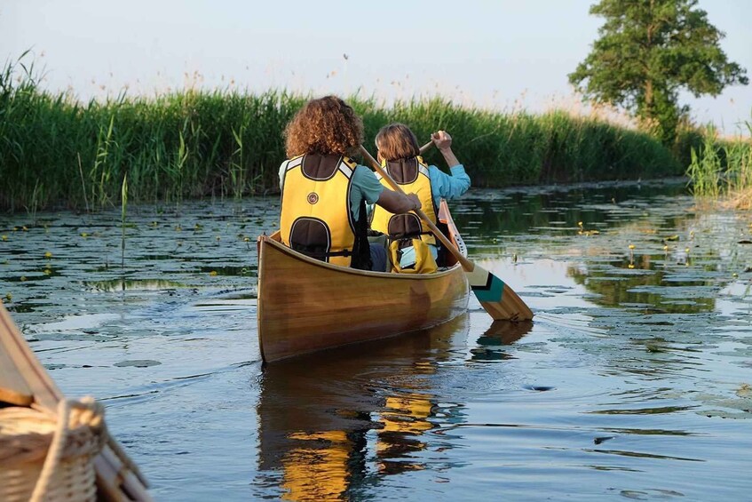 Picture 11 for Activity Guided Birdwatching Canoe Tour of Cape Vente Lithuania