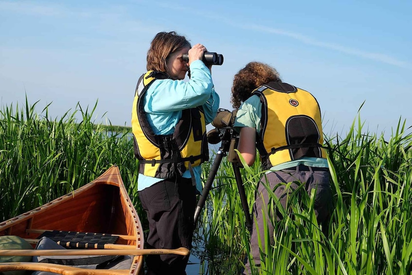 Picture 14 for Activity Guided Birdwatching Canoe Tour of Cape Vente Lithuania