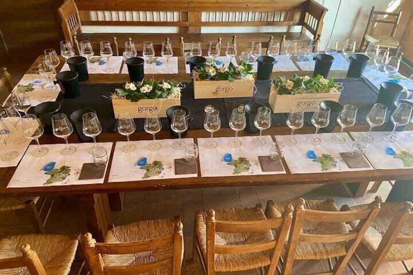 5 Wines Tasting on Custoza Hills with Vineyard Visit