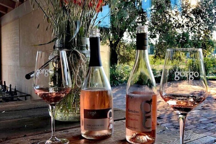 5 Wines Tasting on Custoza Hills with Vineyard Visit