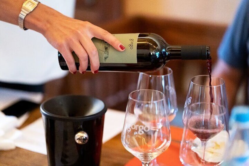5 Wines Tasting on Custoza Hills with Vineyard Visit