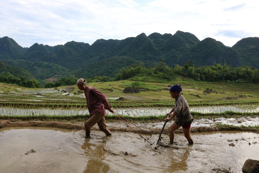 Vietnam : Sapa 2-Days Private Tour With Limousine Transfer From Ha Noi