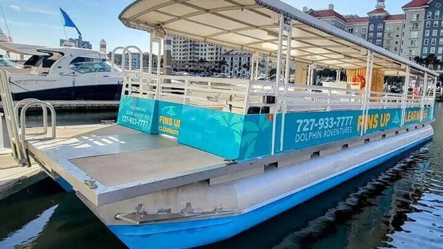 Fins Up - Island and Dolphin Tours in Clearwater