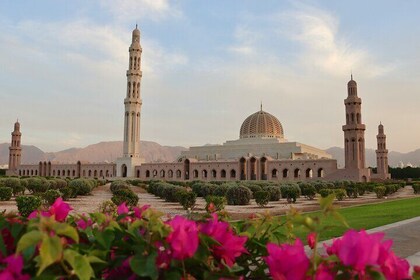 Full Day Private Tour in Muscat
