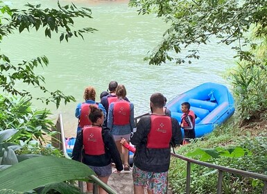 La Fortuna : Demi-journée de safari animalier en bateau