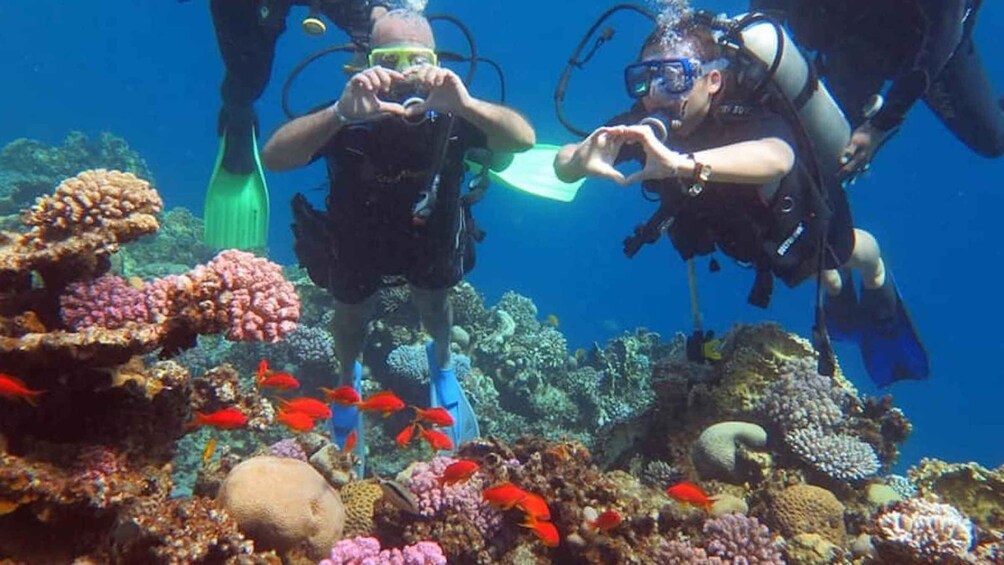 Picture 2 for Activity Sharm to Dahab: Colored Canyon, Blue Hole, Qude Bike, Camels