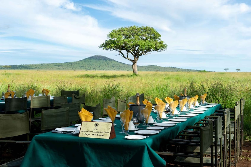 Picture 16 for Activity Serengeti National Park: Balloon Safari at Dawn