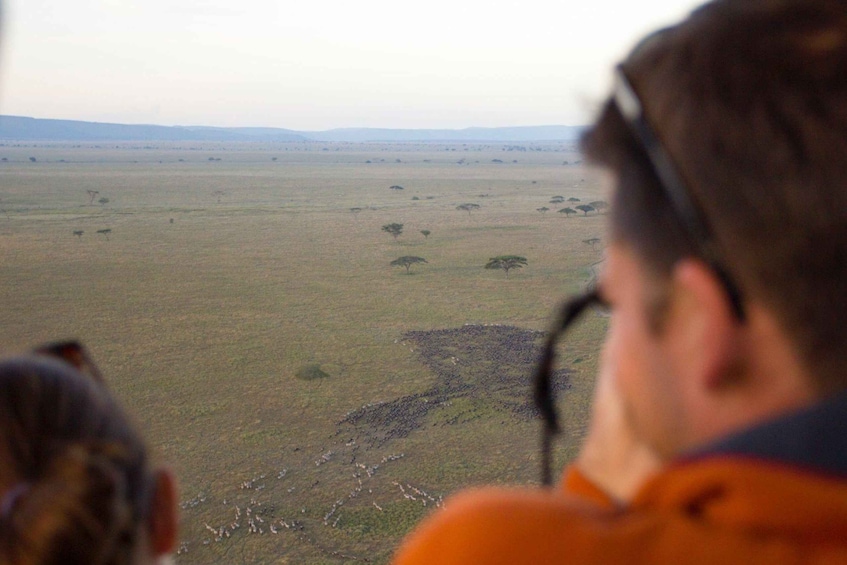 Picture 1 for Activity Serengeti National Park: Balloon Safari at Dawn