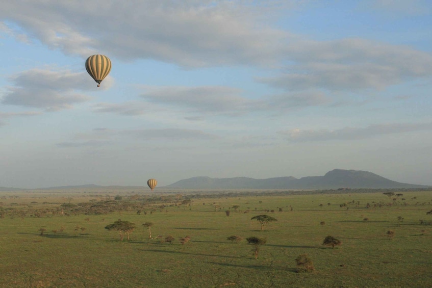 Picture 3 for Activity Serengeti National Park: Balloon Safari at Dawn