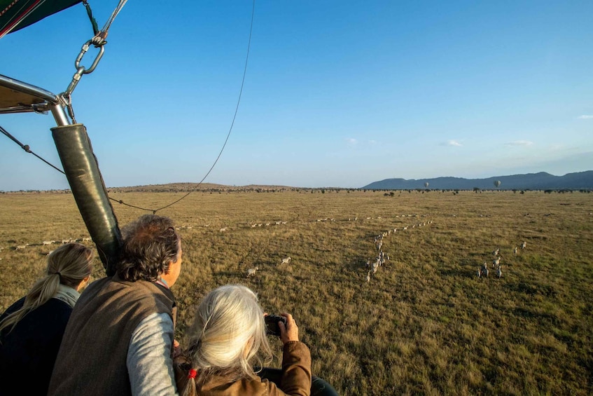 Picture 21 for Activity Serengeti National Park: Balloon Safari at Dawn