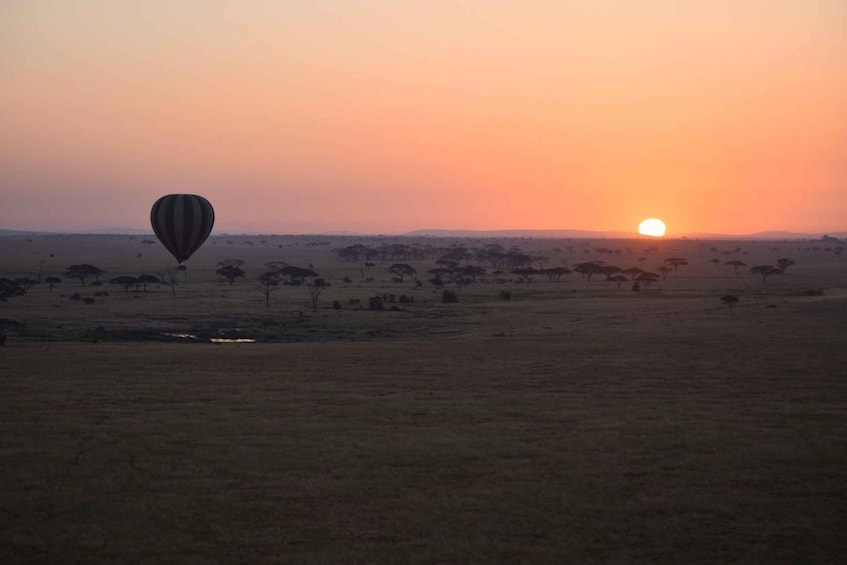 Picture 2 for Activity Serengeti National Park: Balloon Safari at Dawn