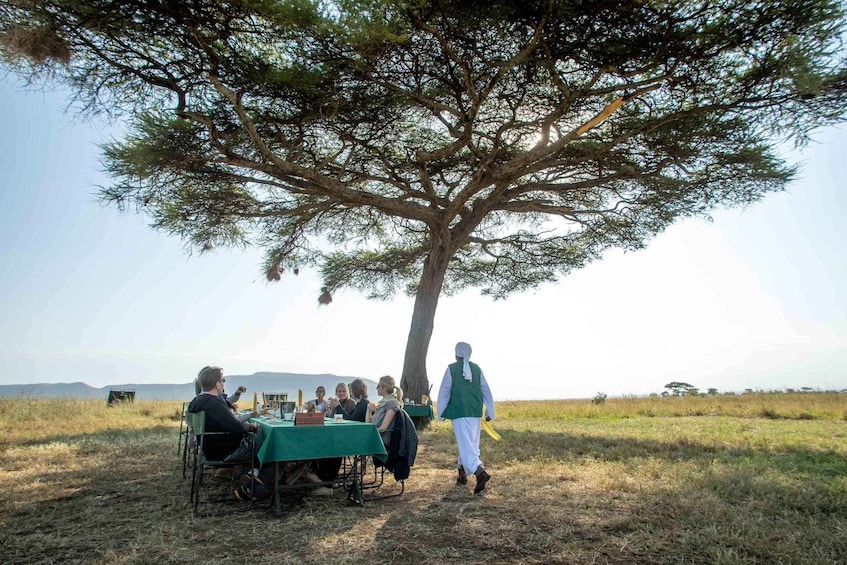 Picture 15 for Activity Serengeti National Park: Balloon Safari at Dawn