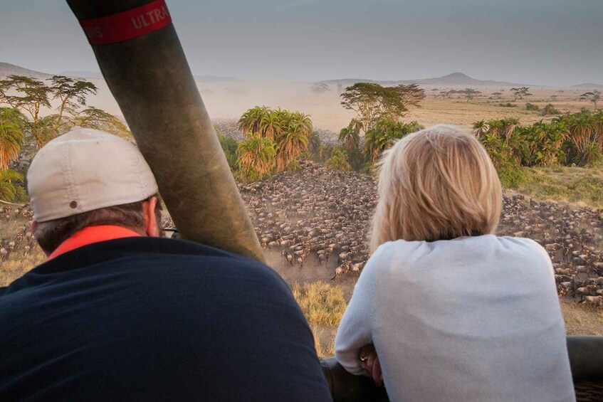 Picture 25 for Activity Serengeti National Park: Balloon Safari at Dawn