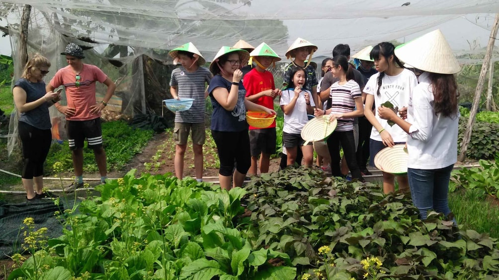 Picture 3 for Activity Full-Day Farming & Cooking class at Agricultural Village