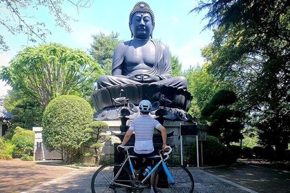 English/Italian guided cycling tour in Tokyo(with a rental bike)
