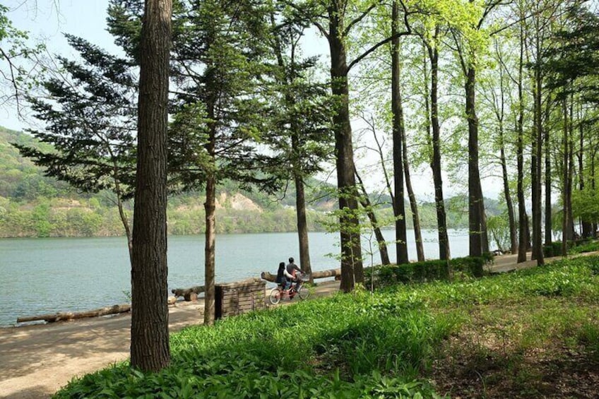 Nami Island, Alpaca World with Samaksan Lake Cable Car Day Tour