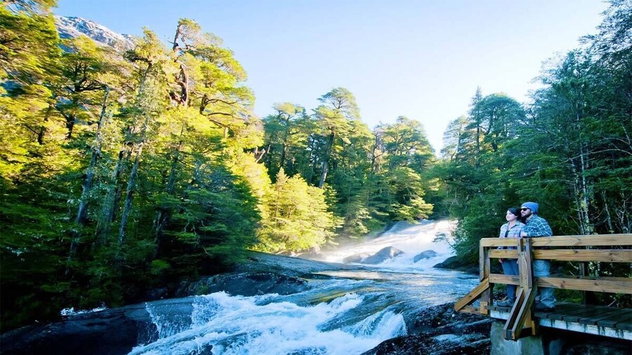 Bariloche: Puerto Blest, Los Cantaros Waterfall and Frias Lake