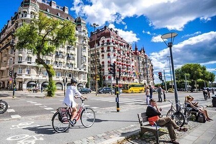 3,5h Guided Bike Tour Stockholm (English or German)