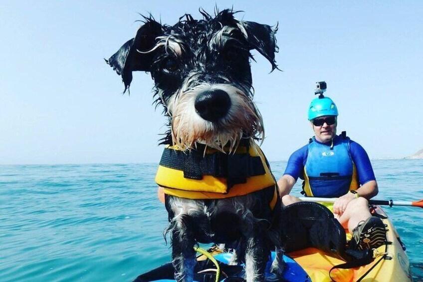 Kayaking with Dogs
