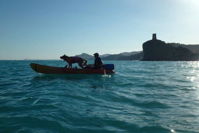 Kayaking with Dogs