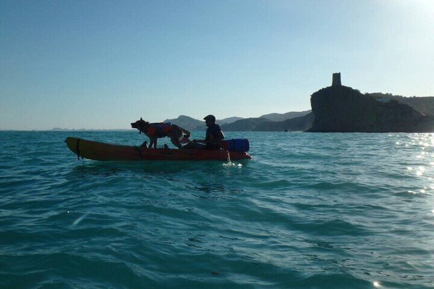 Kayaking with Dogs