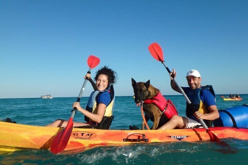 Kayaking with Dogs