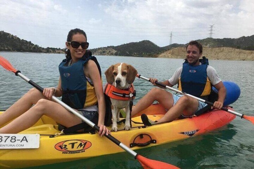 Kayaking with Dogs