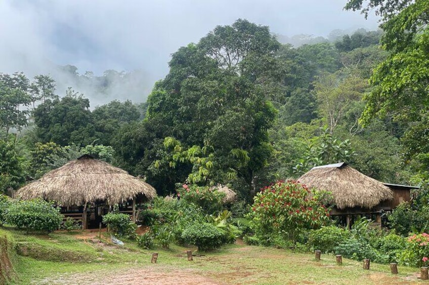 Panama City: Embera Indian Village and Waterfall Tour with Lunch