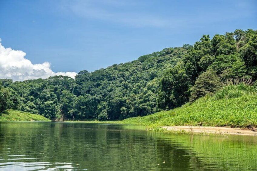 Panama City: Embera Village and Waterfall Tour with Lunch